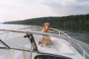 Beta commands the boat.