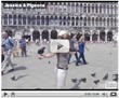 Jessica with pigeons (video)