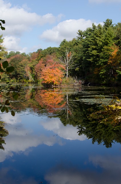 Fawn Lake