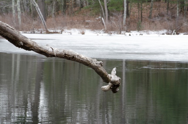 Fawn Lake in Bedford