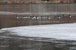 Fawn Lake in Bedford