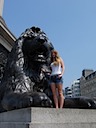 Emily and the Lion