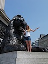 Emily and the Lion