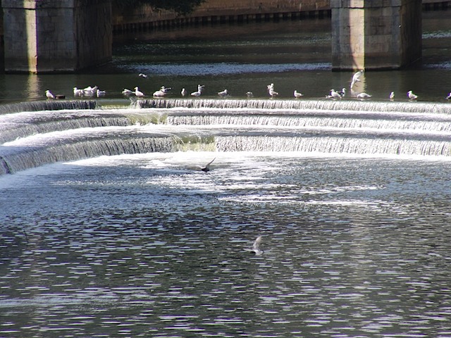 Bath, river Avon