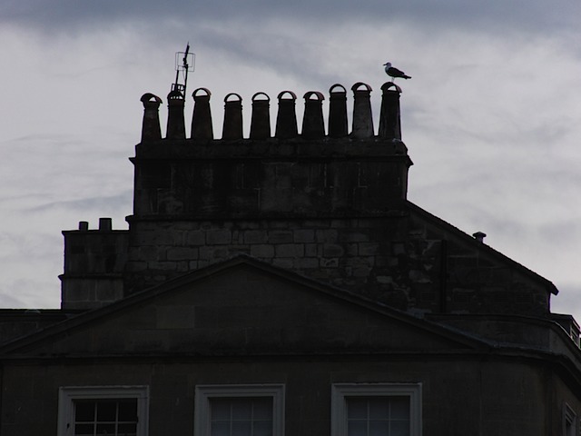 Typical British roofline with gull