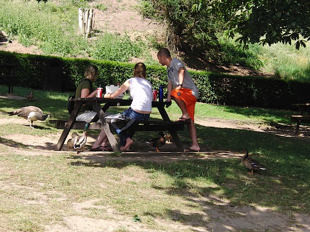 Lunch on Warwick Castle grounds