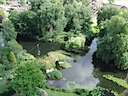 From Warwick Castle