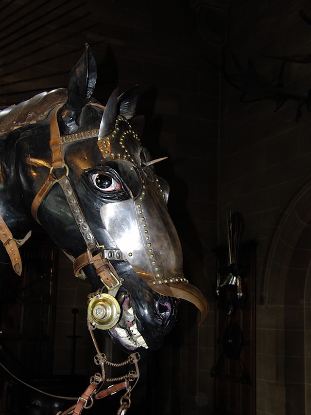 Horse at Warwick Castle