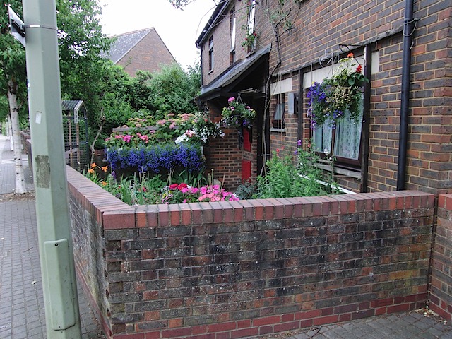 Compact English garden in Oxford