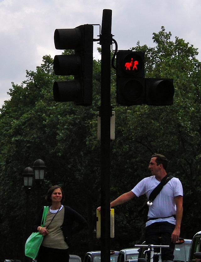 Horse crossing