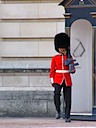 Queen's guard