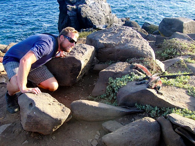 Russell & marine iguanas