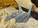 Blue feet on a booby