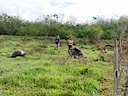 Tortoise and tourists