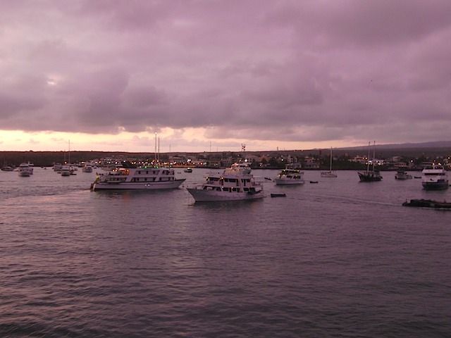 Puerto Ayora