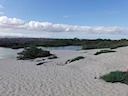 Flamingo pond (unpopulated) with turtle nest depressions in sand