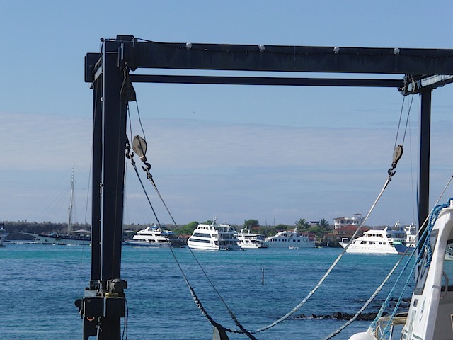 Last view of the Queen of Galapagos