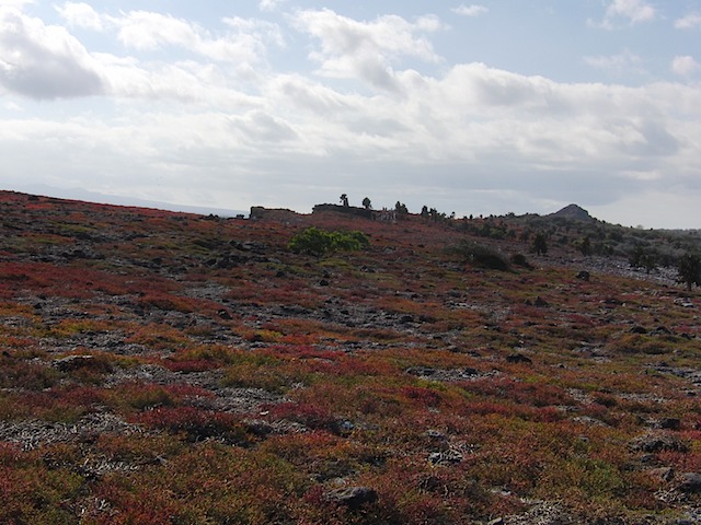 Plaza Sur landscape