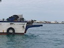 Sea lions on boat in San Cristobal