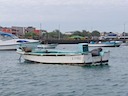 Sea lions on boat in San Cristobal