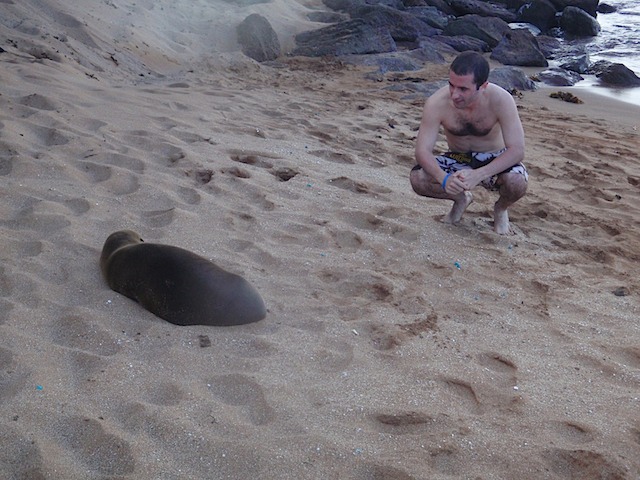 Ross and sea lion