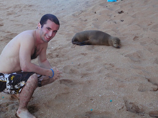 Ross and sea lion