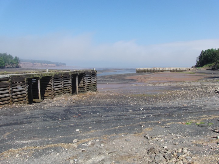 Fundy shore