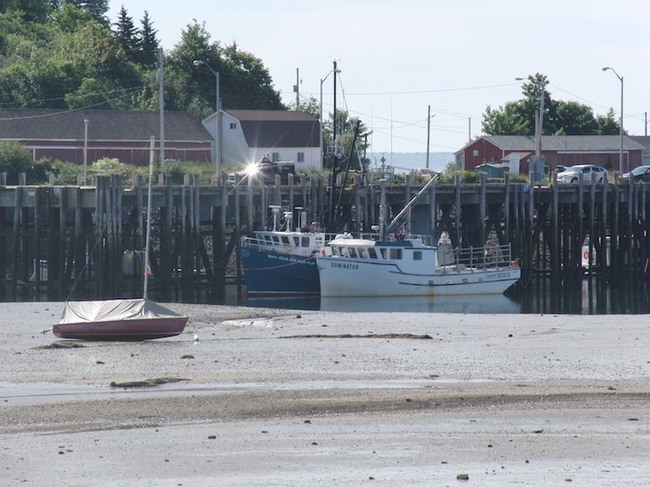 Low tide on Fundy