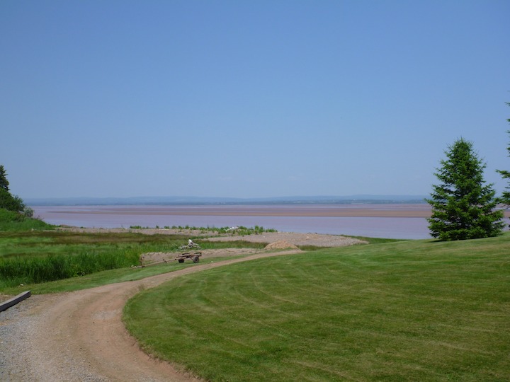 Shubenacadie, low tide