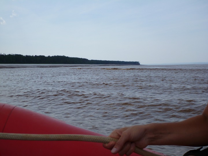 Shubenacadie tidal bore coming