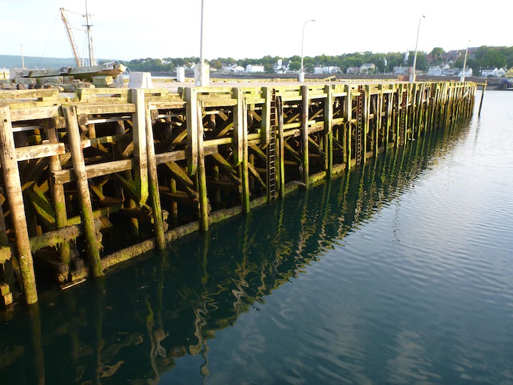 Digby HArbour