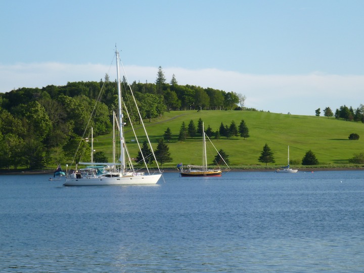 Lunenburg harbour