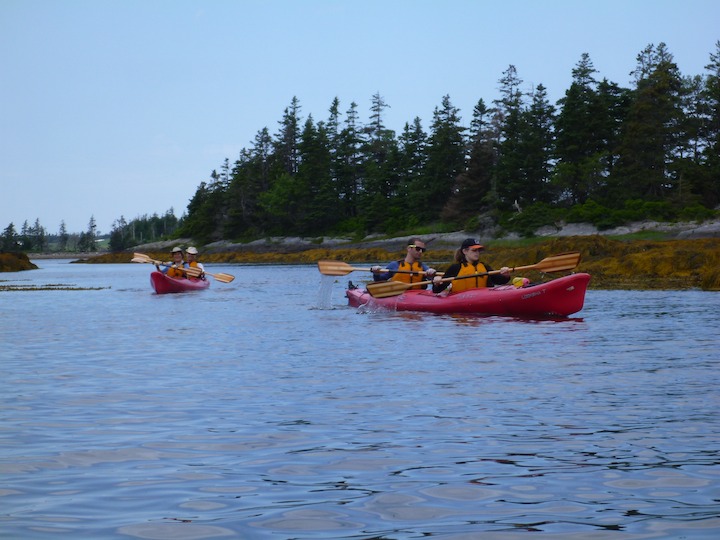 Kathy, Ben, Ross, Hollie paddling