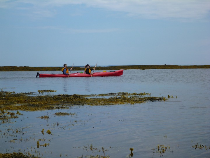 Ross and Hollie paddling