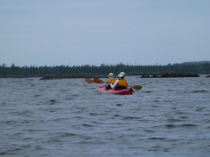 Ben and KAthy head for the rocks with seals