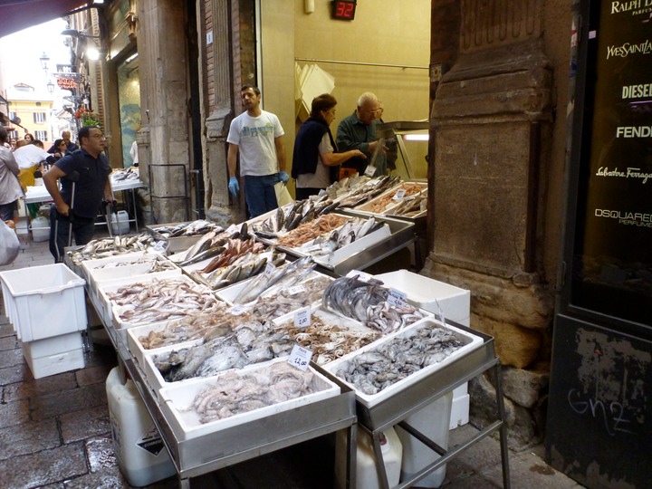 Fish seller Bologna