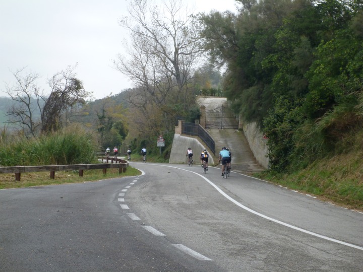 Downhill from Fiorenzuola di Focara