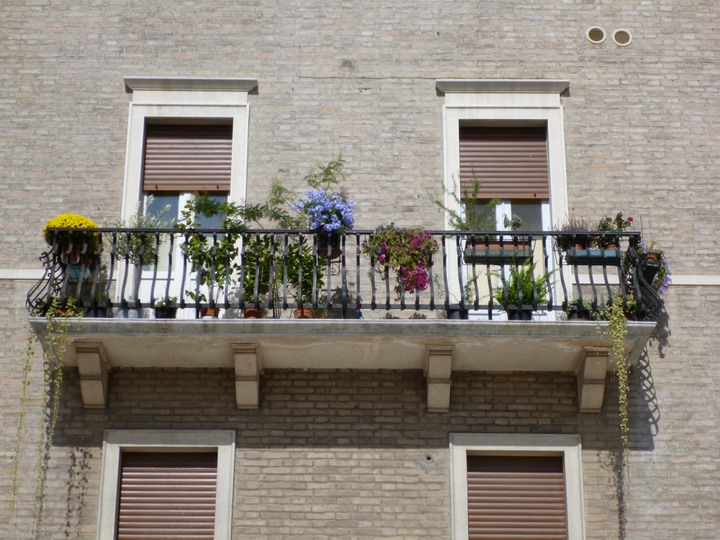 Flowers in Sant'arcangelo