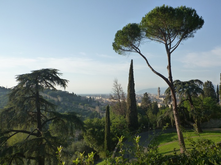 Florentine trees