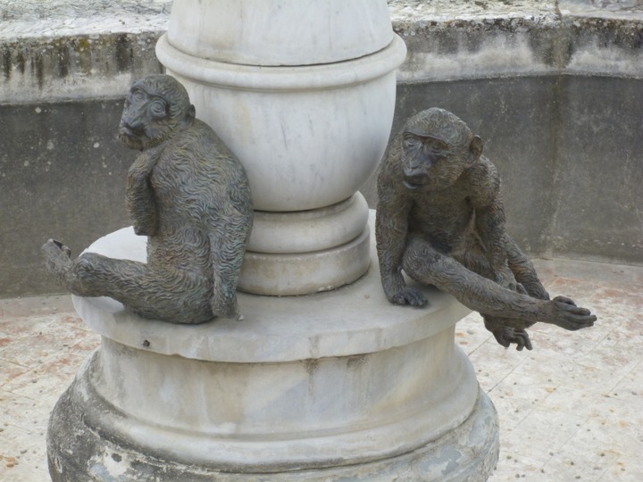 Monkeys in Boboli Gardens