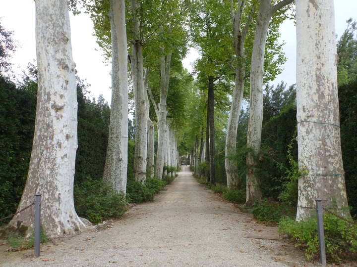 Boboli Gardens