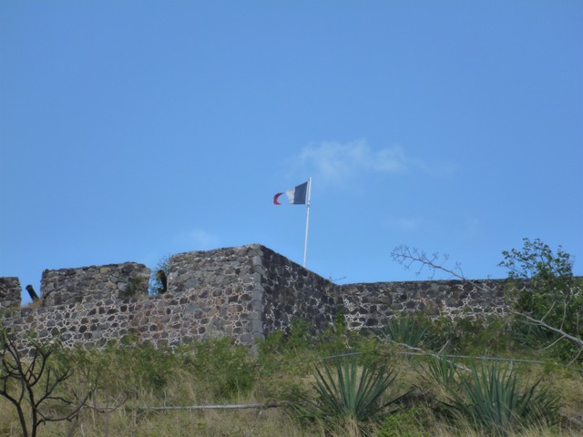 Fort Louis flag