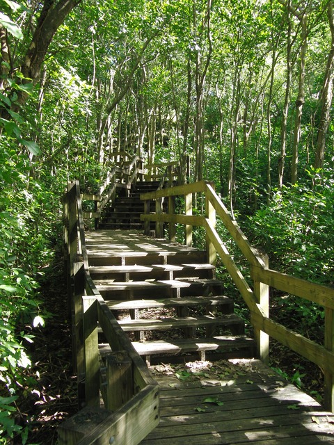 Stairs up to sugar mill