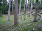 The Swarthmore amphitheater in the woods