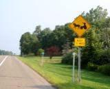 Lots of Amish near Penn Yan...