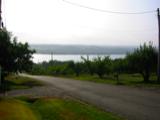 Keuka Lake, West Shore of the East Branch near Penn Yan