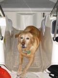 Beta's final boat ride of the summer, on the way to Taughannock to pull it out.