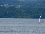 Kite surfer on Cayuga